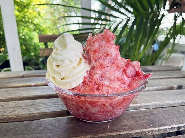 かき氷とソフトクリーム かき氷とソフトクリーム