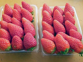 画像の説明 画像の説明